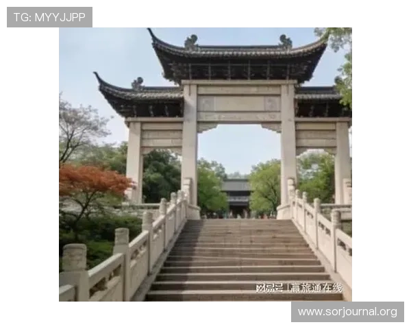 帮助用户解决K8电子注册中遇到的各种疑难问题的实用建议